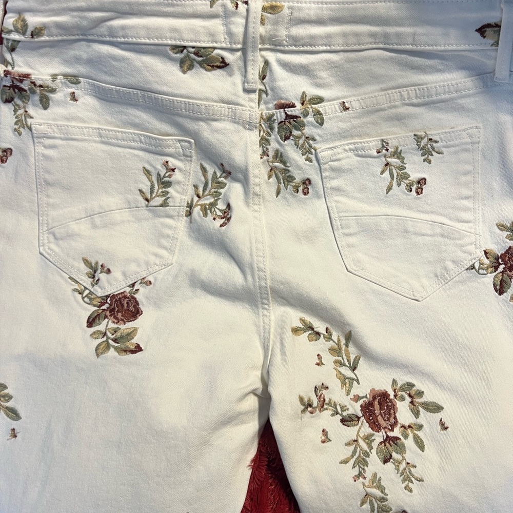 Never worn.  Size 31 Driftwood white embroidered jeans with tag.